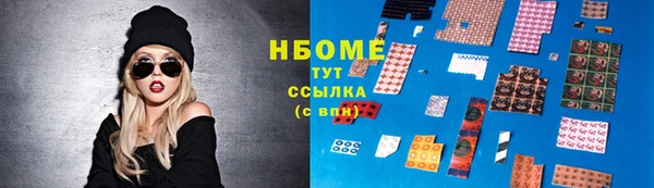 индика Баксан
