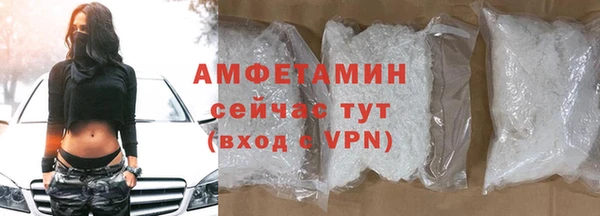 индика Баксан