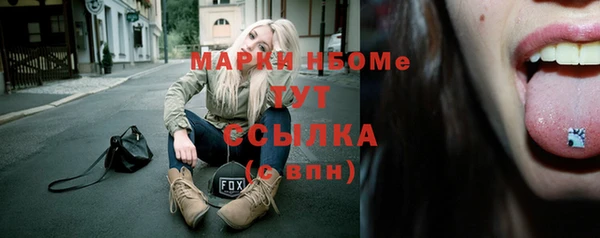 индика Баксан