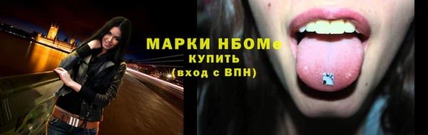 индика Баксан