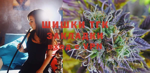 индика Баксан