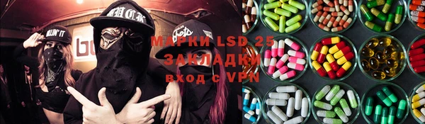 индика Баксан