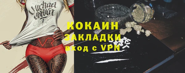 индика Баксан