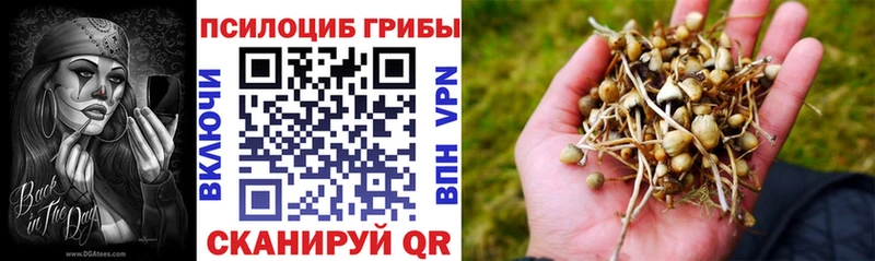 Галлюциногенные грибы мухоморы Лесозаводск